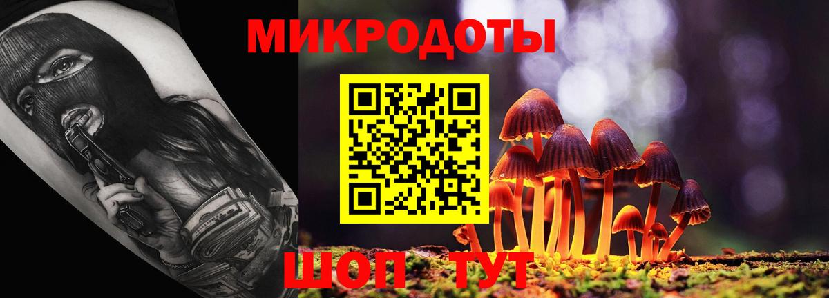 Псилоцибиновые грибы ЛСД Электрогорск